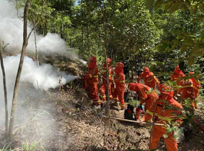 防汛常規(guī)物資|消防滅火裝備|消防救援裝備|水域救援救生|應急照明設(shè)備|防汛與應急包|水泵發(fā)電機類|救生救援儀器