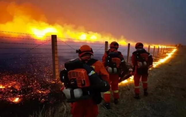 嚴防森林火災,守牢紅線底線