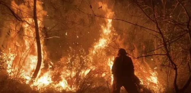 明火已撲滅，初步判斷由祭祀用火引發！今年已發生多起